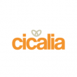 Cicalia